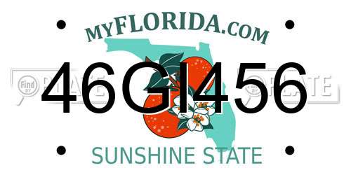46GI456 Florida License Plate
