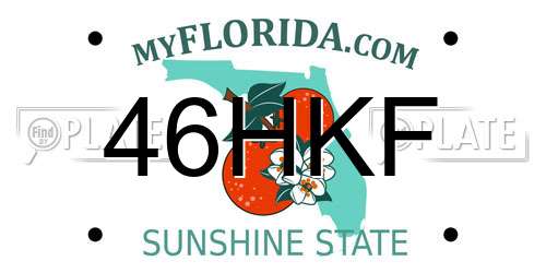 46HKF Florida License Plate