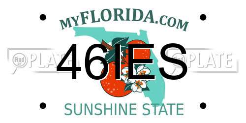46IES Florida License Plate