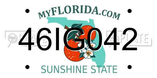 46IG042 Florida License Plate