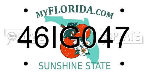 46IG047 Florida License Plate