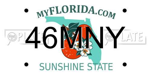 46MNY Florida License Plate