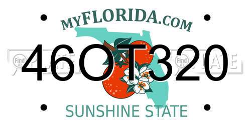 46OT320 Florida License Plate