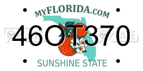 46OT370 Florida License Plate