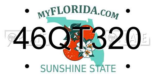 46QT320 Florida License Plate