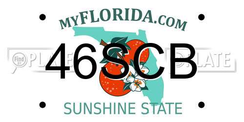 46SCB Florida License Plate