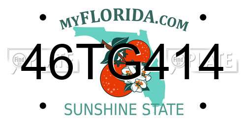 46TG414 Florida License Plate