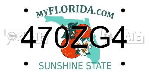 470ZG4 Florida License Plate