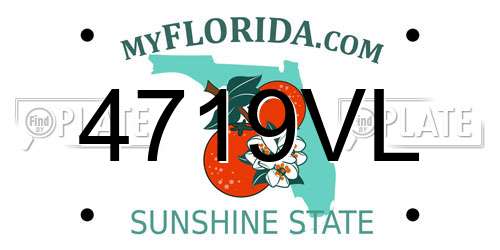 4719VL Florida License Plate