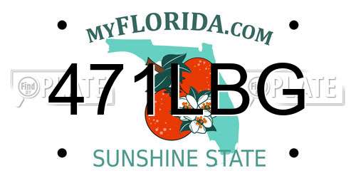 471LBG Florida License Plate
