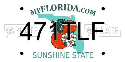 471TLF Florida License Plate