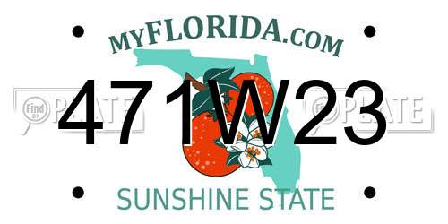 471W23 Florida License Plate