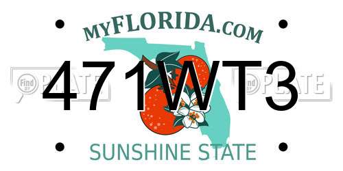 471WT3 Florida License Plate
