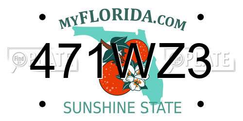 471WZ3 Florida License Plate