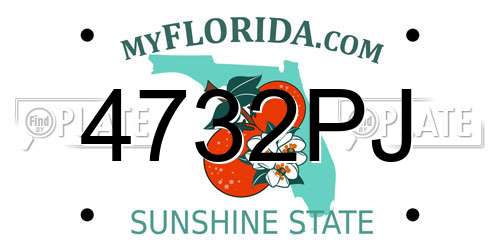 4732PJ Florida License Plate