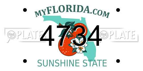 4734 Florida License Plate