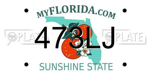 473LJ Florida License Plate