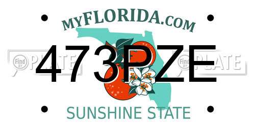 473PZE Florida License Plate