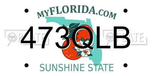 473QLB Florida License Plate