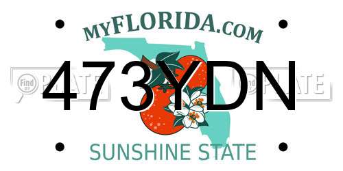 473YDN Florida License Plate
