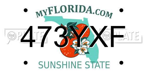 473YXF Florida License Plate