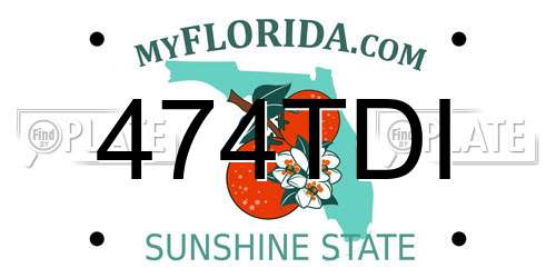 474TDI Florida License Plate