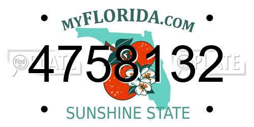 4758132 Florida License Plate