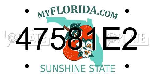 47581E2 Florida License Plate