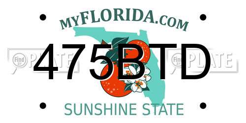 475BTD Florida License Plate