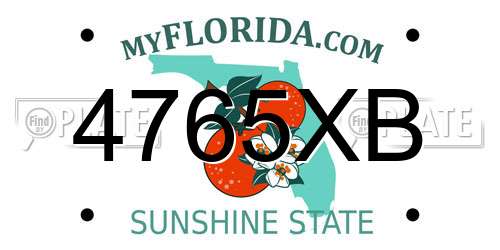 4765XB Florida License Plate