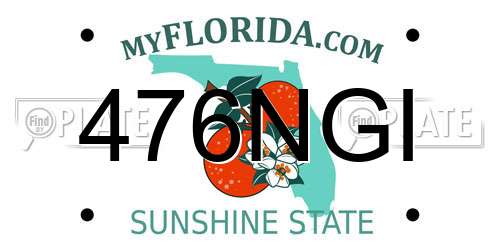476NGI Florida License Plate