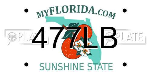 477LB Florida License Plate