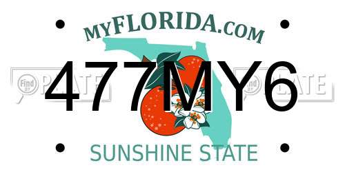 477MY6 Florida License Plate