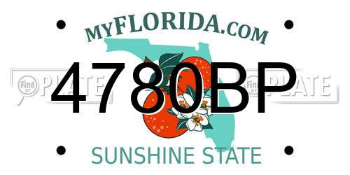 4780BP Florida License Plate