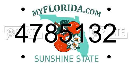 4785132 Florida License Plate