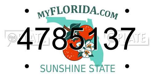 4785137 Florida License Plate