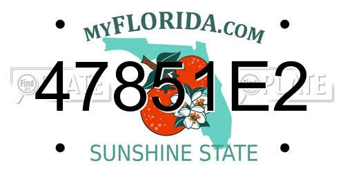 47851E2 Florida License Plate