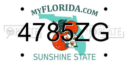 4785ZG Florida License Plate