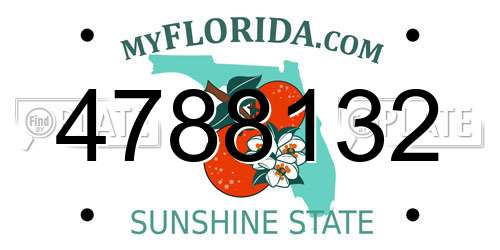 4788132 Florida License Plate