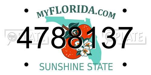 4788137 Florida License Plate