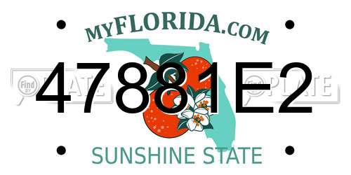 47881E2 Florida License Plate