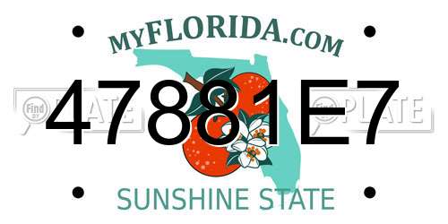 47881E7 Florida License Plate