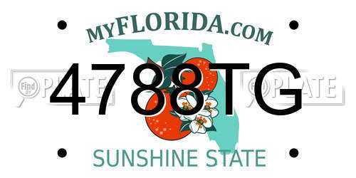 4788TG Florida License Plate