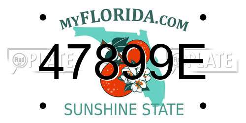 47899E Florida License Plate