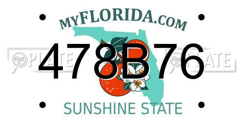 478B76 Florida License Plate