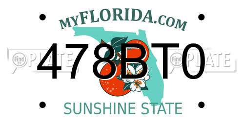 478BT0 Florida License Plate