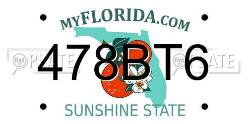 478BT6 Florida License Plate