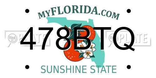 478BTQ Florida License Plate