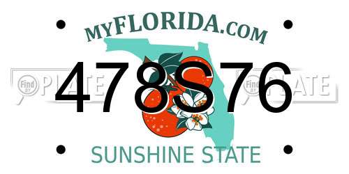 478S76 Florida License Plate