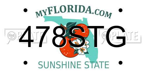 478STG Florida License Plate